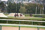 Alltech-WEG-10-10-13-5414-DDeRosaPhoto