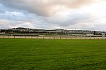 Alltech-WEG-10-10-13-5417-DDeRosaPhoto