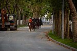 Alltech-WEG-10-10-13-5427-DDeRosaPhoto