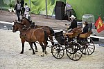 WEG-8-23-14-OpenCeremony-0002325-DDeRosaPhoto