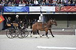 WEG-8-23-14-OpenCeremony-0002337-DDeRosaPhoto