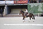 WEG-8-23-14-OpenCeremony-0002341-DDeRosaPhoto