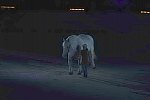 WEG-8-23-14-OpenCeremony-0002919-DDeRosaPhoto