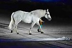 WEG-8-23-14-OpenCeremony-0002922-DDeRosaPhoto