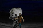 WEG-8-23-14-OpenCeremony-0002924-DDeRosaPhoto