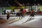 WEG-8-23-14-OpenCeremony-0002978-DDeRosaPhoto