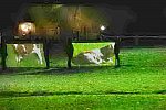 WEG-8-23-14-OpenCeremony-0002997-DDeRosaPhoto
