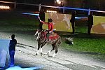 WEG-8-23-14-OpenCeremony-0003018-DDeRosaPhoto