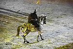 WEG-8-23-14-OpenCeremony-0003131-DDeRosaPhoto