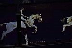 WEG-8-23-14-OpenCeremony-0003169-DDeRosaPhoto