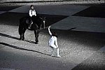 WEG-8-23-14-OpenCeremony-0003193-DDeRosaPhoto