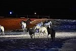 WEG-8-23-14-OpenCeremony-0003214-DDeRosaPhoto