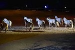 WEG-8-23-14-OpenCeremony-0003216-DDeRosaPhoto