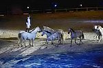 WEG-8-23-14-OpenCeremony-0003223-DDeRosaPhoto