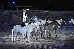 WEG-8-23-14-OpenCeremony-0003235-DDeRosaPhoto