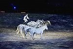 WEG-8-23-14-OpenCeremony-0003238-DDeRosaPhoto