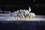 WEG-8-23-14-OpenCeremony-0003244-DDeRosaPhoto