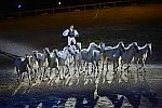 WEG-8-23-14-OpenCeremony-0003252-DDeRosaPhoto