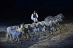 WEG-8-23-14-OpenCeremony-0003261-DDeRosaPhoto