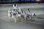 WEG-8-23-14-OpenCeremony-0003305-DDeRosaPhoto