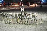 WEG-8-23-14-OpenCeremony-0003320-DDeRosaPhoto