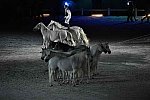 WEG-8-23-14-OpenCeremony-0003327-DDeRosaPhoto