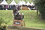 WEG1-Eventing-8-30-14-0009603-KarinDonckers-FletchaVan'tVerahof-BEL-DDeRosaPhoto
