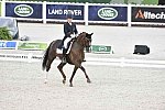 WEG-Dressage-8-25-14-GPTeam-0003686-KarinKosak-Lucy'sDay-AUT-DDeRosaPhoto