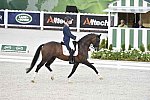 WEG-Dressage-8-25-14-GPTeam-0003700-DierderikvanSilfhout-ArlandoNHNOP-NED-DDeRosaPhoto