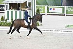 WEG-Dressage-8-25-14-GPTeam-0003701-DierderikvanSilfhout-ArlandoNHNOP-NED-DDeRosaPhoto