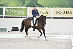 WEG-Dressage-8-25-14-GPTeam-0003702-DierderikvanSilfhout-ArlandoNHNOP-NED-DDeRosaPhoto