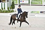 WEG-Dressage-8-25-14-GPTeam-0003731-DierderikvanSilfhout-ArlandoNHNOP-NED-DDeRosaPhoto