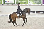 WEG-Dressage-8-25-14-GPTeam-0003805-KarenPavicic-DonDaiquiri-CAN-DDeRosaPhoto