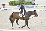 WEG-Dressage-8-25-14-GPTeam-0003817-KarenPavicic-DonDaiquiri-CAN-DDeRosaPhoto