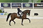 WEG-Dressage-8-25-14-GPTeam-0004032-JeroenDevroe-EresDL-BEL-DDeRosaPhoto