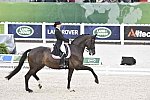 WEG-Dressage-8-25-14-GPTeam-0004233-MikalaMunterGundersen-MyLady-DEN-DDeRosaPhoto