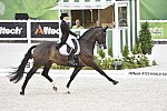 WEG-Dressage-8-25-14-GPTeam-0004234-MikalaMunterGundersen-MyLady-DEN-DDeRosaPhoto