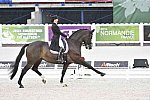 WEG-Dressage-8-25-14-GPTeam-0004235-MikalaMunterGundersen-MyLady-DEN-DDeRosaPhoto