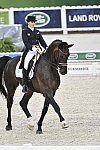 WEG-Dressage-8-25-14-GPTeam-0004532-MariaInesGarcia-Kupfermann-COL-DDeRosaPhoto