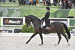 WEG-Dressage-8-25-14-GPTeam-0005962-AdrienneLyle-Wizard-USA-DDeRosaPhoto