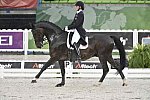 WEG-Dressage-8-25-14-GPTeam-0006029-AdrienneLyle-Wizard-USA-DDeRosaPhoto