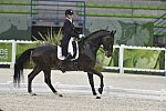 WEG-Dressage-8-25-14-GPTeam-0006041-AdrienneLyle-Wizard-USA-DDeRosaPhoto