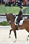 WEG1-Dressage-8-26-14-GPTeam-0007682-LauraGraves-Verdades-USA-DDeRosaPhoto