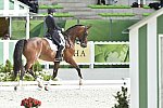 WEG1-Dressage-8-26-14-GPTeam-0007695-LauraGraves-Verdades-USA-DDeRosaPhoto