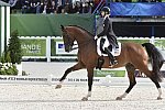WEG1-Dressage-8-26-14-GPTeam-0007730-LauraGraves-Verdades-USA-DDeRosaPhoto