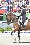 WEG1-Dressage-Freestyle-0006283-LauraGraves-Verdades-USA-DDeRosaPhoto