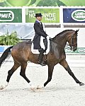 WEG1-Dressage-8-26-14-GPTeam-0009231-SteffenPeters-Legolas92-USA-DDeRosaPhoto-vert