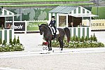 WEG-Dressage-8-25-14-GPTeam-0003867-TinaKonyot-CalectoV-USA-DDeRosaPhoto