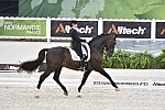 WEG-Dressage-8-25-14-GPTeam-0003887-TinaKonyot-CalectoV-USA-DDeRosaPhoto