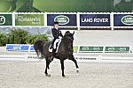 WEG-Dressage-8-25-14-GPTeam-0003978-TinaKonyot-CalectoV-USA-DDeRosaPhoto